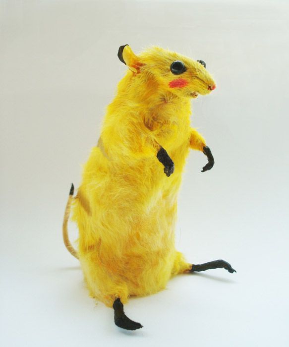 pikachu.jpg